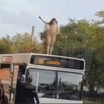 «Позор, ей богу»: в Кирове обнаженная девушка исполнила танец на крыше автобуса
